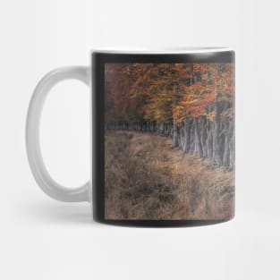 'By the Left, Quick March', autumnal beech trees, near Loch Rannoch. Mug